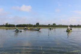 (Ảnh minh họa. Thanh Bình/TTXVN)