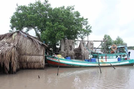 Neo đậu ghe thuyền vào nơi tránh trú an toàn. (Ảnh: Thế Anh/TTXVN)