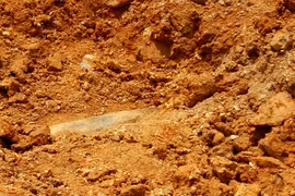 (Ảnh: TTXVN phát)