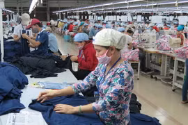 Ấn Độ tăng cường hợp tác với Việt Nam trong lĩnh vực dệt may 