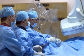 (Ảnh minh họa. TTXVN phát)