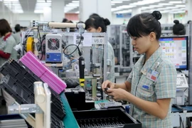 (Ảnh minh họa. Thái Hùng/TTXVN)