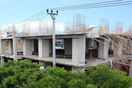 (Ảnh minh họa. Lê Lâm/TTXVN)