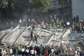 Lực lượng cứu hộ tìm kiếm người mất tích sau trận động đất ở Mexico City ngày 19/9. (Nguồn: AFP/TTXVN)