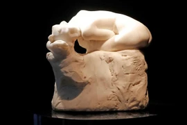 Tác phẩm ''Andromeda''. (Nguồn: Reuters)