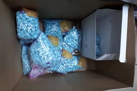 (Ảnh minh họa. TTXVN phát)