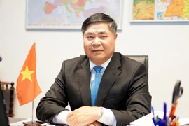 Đại sứ Đoàn Xuân Hưng trả lời phỏng vấn. (Ảnh: Phạm Văn Thắng/Vietnam+)