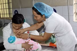(Ảnh minh họa. Trọng Đức/TTXVN)