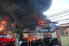 (Ảnh: Mạnh Linh/TTXVN)