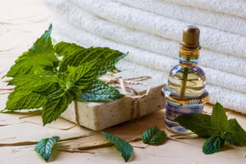 Phái đẹp nên cẩn trọng khi dùng mỹ phẩm chứa bạc hà