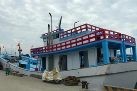 (Ảnh minh họa. Nguyên Lý/TTXVN)