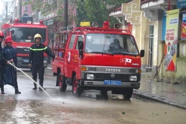 (Ảnh: Tường Vi/TTXVN)