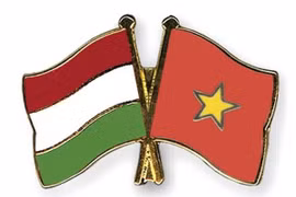 Ảnh minh họa. (Nguồn: crossed-flag-pins.com)