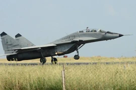 Máy bay MIG-29 của quân đội Iran. (Nguồn: Iran Defense Research Wing)