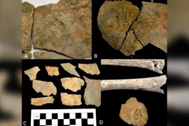 Một số cổ vật được trưng bày. (Nguồn: Teller Report)