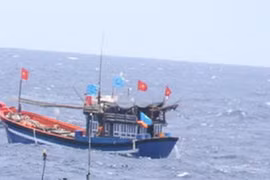 Ảnh minh họa