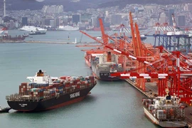 Một tàu chở hàng của Hàn Quốc cập cảng. (Mettis News)