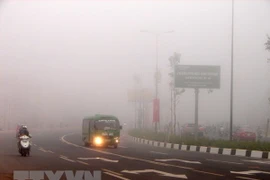 (Ảnh minh họa: Dương Chí Tưởng/TTXVN)