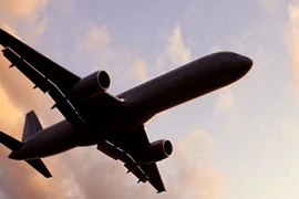 Ảnh chỉ có tính minh họa. (Nguồn: nnu)