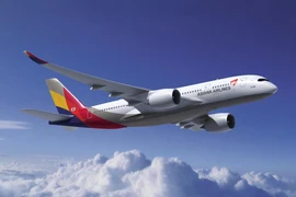 Một máy bay của Asiana Airlines. (Nguồn: One Mile)