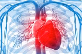 Ảnh chỉ có tính minh họa. (Nguồn: Cordis Heart Institute)