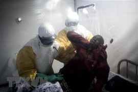 Dịch bệnh Ebola vẫn đang là nỗi lo ở các nước châu Phi. (Nguồn: AFP/TTXVN)