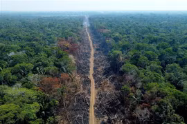 Khoảng rừng Amazon bị chặt phá tại Humaita, bang Amazonas (Brazil), ngày 16/9/2022. (Ảnh: AFP/TTXVN)