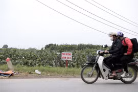 Ảnh minh họa. (Ảnh: Huy Hùng/TTXVN)