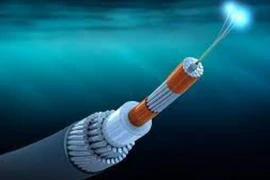 Ảnh minh họa. (Nguồn: The Africa Report)