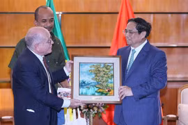 Thủ tướng Phạm Minh Chính tiếp bà Luciana Santos, Chủ tịch Đảng Cộng sản Brazil. (Ảnh: Dương Giang/TTXVN)