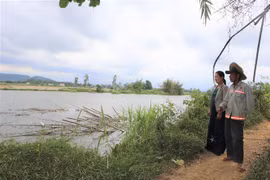 Sạt lở tiến sát con đường dân sinh đoạn qua xã Bình Trung, huyện Bình Sơn. (Ảnh: Đinh Hương/TTXVN)
