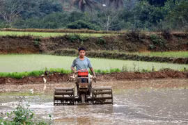 Các Chương trình mục tiêu quốc gia giai đoạn 2021-2025 về xây dựng nông thôn mới, giảm nghèo bền vững có ý nghĩa quan trọng đối với phát triển kinh tế-xã hội và giải quyết những vấn đề cấp thiết của đời sống nhân dân. (Ảnh: Vũ Quang/TTXVN)