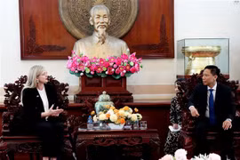 Phó Chủ tịch Ủy ban Nhân dân thành phố Cần Thơ Nguyễn Thực Hiện tiếp và làm việc với Đại sứ Thụy Điển tại Việt Nam Ann Måwe. (Ảnh: Thu Hiền/TTXVN)