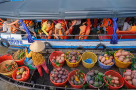 Thuyền bán trái cây cho khách tham quan chợ nổi Cái Răng (Cần Thơ). (Ảnh minh họa: Thanh Liêm/TTXVN)