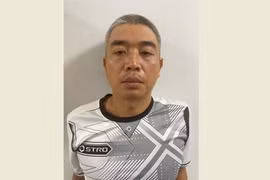 Đối tượng Mai Xuân Thái. (Ảnh: TTXVN phát)