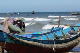 Ảnh minh họa. (Ảnh: Nguyên Lý/TTXVN)