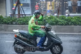 Ảnh minh họa. (Ảnh: Lê Minh Sơn/Vietnam+)
