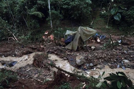 Ảnh minh họa. (Ảnh: AFP/TTXVN)