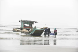 Ảnh minh họa. (Ảnh: TTXVN phát)