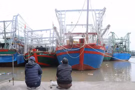 Hàng trăm tàu cá tại Hải Phòng hiện nằm bờ do không có đủ chức danh thuyền viên theo quy định. (Ảnh: Hoàng Ngọc/TTXVN)