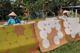 Phơi bánh phồng tại cơ sở Quang Long, ấp An Hiệp, xã Đông Hòa Hiệp (Tiền Giang). (Ảnh: Minh Trí/TTXVN)