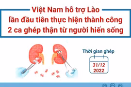 Việt Nam hỗ trợ Lào thực hiện 2 ca ghép thận từ người hiến sống 