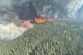 Khói bốc lên từ các đám cháy rừng ở British Columbia (Canada), ngày 9/6/2023. (Ảnh: THX/TTXVN)