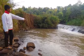 Nguồn: Dân trí
