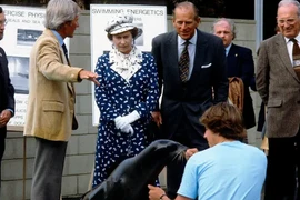 Nữ hoàng và Công tước xứ Edinburgh xem một con sư tử biển được cho ăn tại Viện Hải dương học ở San Diego, trong chuyến đi tới California năm 1983. (Nguồn: Getty Images/The Guardian)