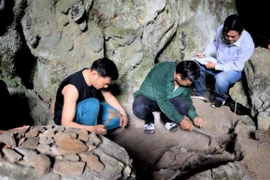 Đào khảo sát hang Thẳm Un 2. (Ảnh: Vietnam+)