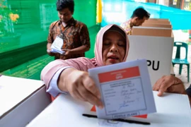 Ảnh minh họa. (Nguồn: The Telegraph)