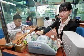 Ảnh minh họa. (Ảnh: Trần Việt/TTXVN)
