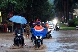 Ảnh minh họa. (Nguồn: TTXVN)