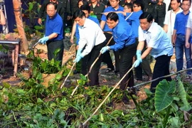 Bí thư Thành ủy Đinh La Thăng và Bí thư thứ nhất Trung ương Đoàn Nguyễn Đắc Vinh tham gia Ngày Chủ Nhật Xanh. (Ảnh: An Hiếu/Vietnam+)